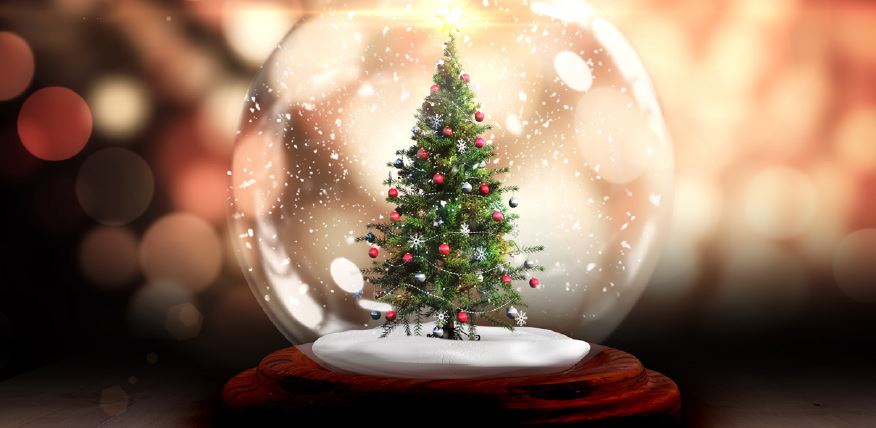 christmas donations 2018 lehane environmental christmas photo